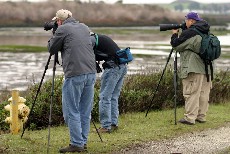 Click to see IMG_5320.JPG