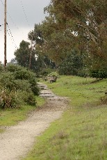 Click to see IMG_5326.JPG