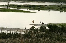 Click to see IMG_5330.JPG