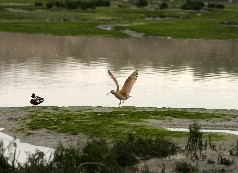 Click to see IMG_5338.JPG