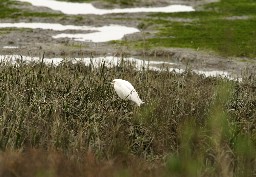 Click to see IMG_5341.JPG