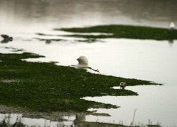 Click to see IMG_5349.JPG