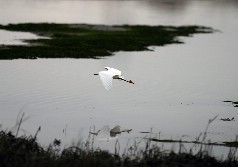 Click to see IMG_5351.JPG