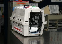 Click to see IMG_0348.JPG