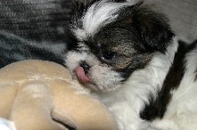 Click to see IMG_0507.JPG