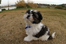 Click to see IMG_3749.JPG