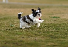 Click to see IMG_3876.JPG