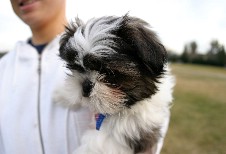 Click to see IMG_3900.JPG
