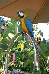 Click to see IMG_0844.JPG