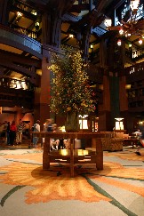 Click to see IMG_0967.JPG