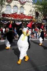 Click to see IMG_1141.JPG