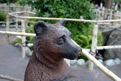 Click to see IMG_1167.JPG