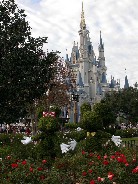 Click to see DSCN2741.JPG