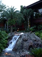 Click to see DSCN2773.JPG