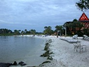 Click to see DSCN2788.JPG