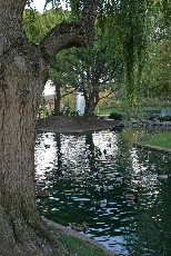 Click to see IMG_1624.JPG