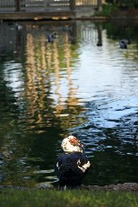 Click to see IMG_1734.JPG