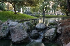 Click to see IMG_1774.JPG