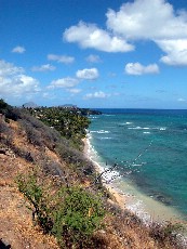 Click to see DSCN0307.JPG