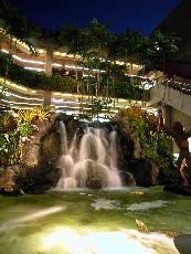 Click to see DSCN0407.JPG