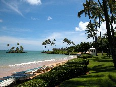 Click to see DSCN0531.JPG