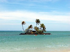 Click to see DSCN0532.JPG