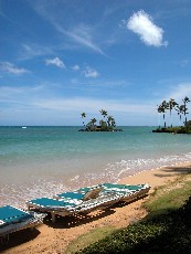 Click to see DSCN0537.JPG