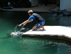 Click to see DSCN0554.JPG