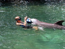 Click to see DSCN0653.JPG