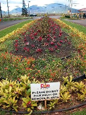 Click to see DSCN0749.JPG