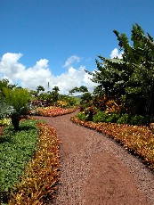 Click to see DSCN0785.JPG