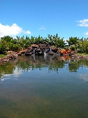 Click to see DSCN0807.JPG