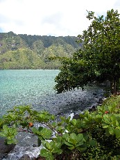 Click to see DSCN0841.JPG