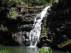 Click to see DSCN0920.JPG