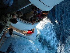 Click to see DSCN0960.JPG