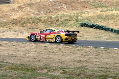 Click to see IMG_2882.JPG