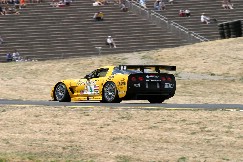 Click to see IMG_2921.JPG