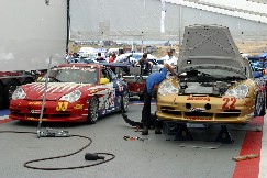 Click to see IMG_3380.JPG