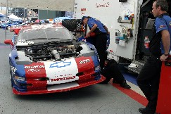 Click to see IMG_3383.JPG