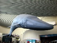 Click to see DSCN2886.JPG