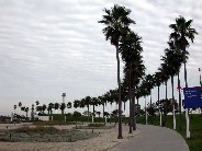 Click to see DSCN3017.JPG