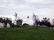 Click to see DSCN3048.JPG