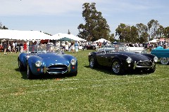 Click to see IMG_0666.JPG