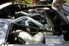 Click to see IMG_0763.JPG