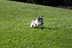 Click to see IMG_6952.JPG