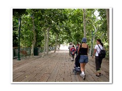 Click to see DSCN0317.jpg