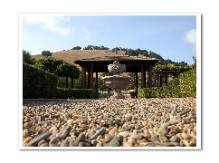 Click to see DSCN0509.jpg