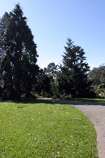 Click to see IMG_0752.JPG
