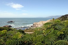 Click to see IMG_0932.JPG