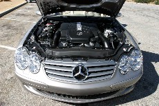 Click to see IMG_7845.JPG
